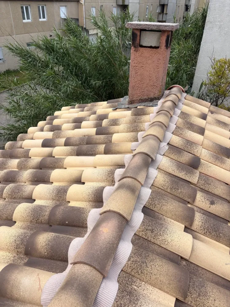 travail sur toiture (11)